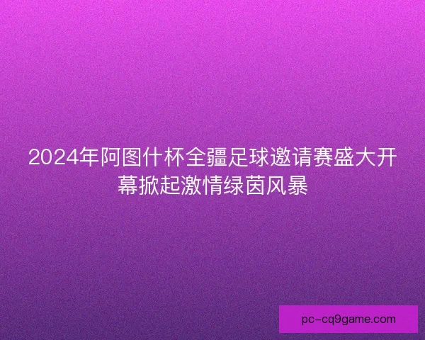 2024年阿图什杯全疆足球邀请赛盛大开幕掀起激情绿茵风暴