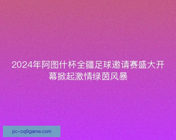 2024年阿图什杯全疆足球邀请赛盛大开幕掀起激情绿茵风暴 2024年阿图什杯全疆足球邀请赛盛大开幕掀起激情绿茵风暴